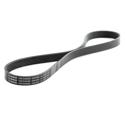 BOSCH Ribbed V-belt 6PK976